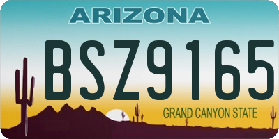 AZ license plate BSZ9165