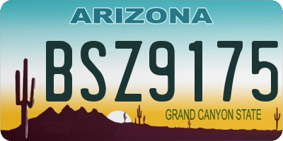 AZ license plate BSZ9175