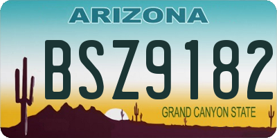 AZ license plate BSZ9182