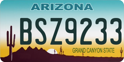 AZ license plate BSZ9233