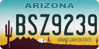 AZ license plate BSZ9239