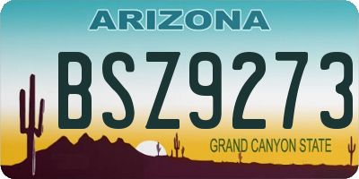 AZ license plate BSZ9273