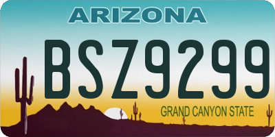 AZ license plate BSZ9299