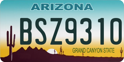 AZ license plate BSZ9310