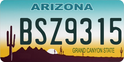 AZ license plate BSZ9315