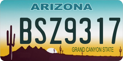 AZ license plate BSZ9317