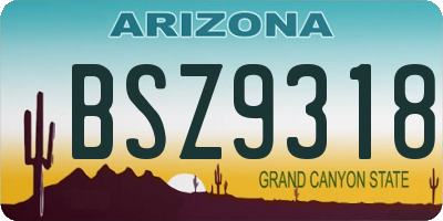 AZ license plate BSZ9318