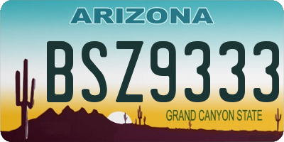 AZ license plate BSZ9333