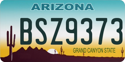 AZ license plate BSZ9373