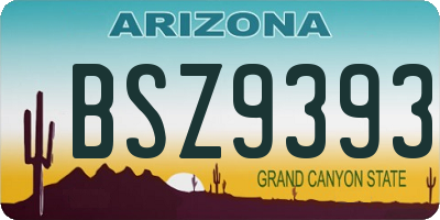 AZ license plate BSZ9393