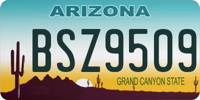 AZ license plate BSZ9509