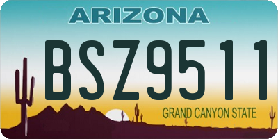 AZ license plate BSZ9511