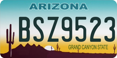 AZ license plate BSZ9523