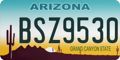 AZ license plate BSZ9530