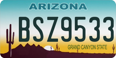 AZ license plate BSZ9533