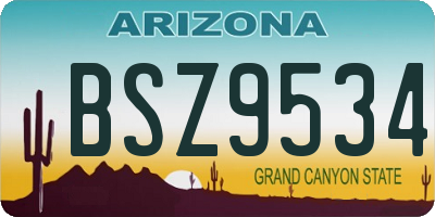 AZ license plate BSZ9534