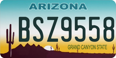 AZ license plate BSZ9558