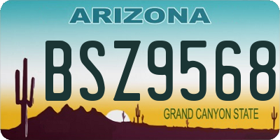 AZ license plate BSZ9568