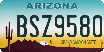 AZ license plate BSZ9580