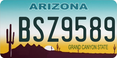 AZ license plate BSZ9589