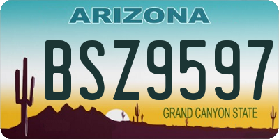 AZ license plate BSZ9597