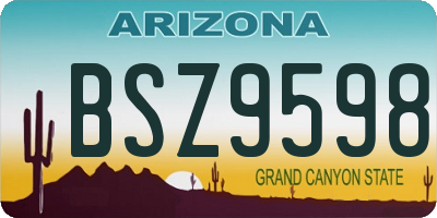 AZ license plate BSZ9598