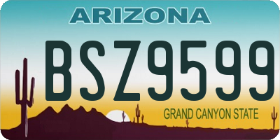 AZ license plate BSZ9599