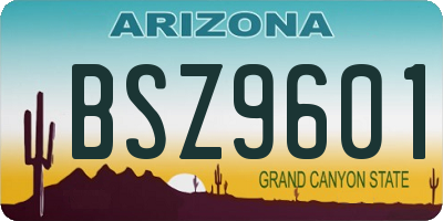 AZ license plate BSZ9601