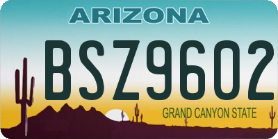 AZ license plate BSZ9602