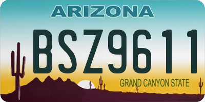 AZ license plate BSZ9611