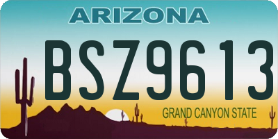 AZ license plate BSZ9613