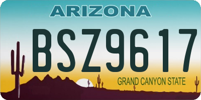 AZ license plate BSZ9617