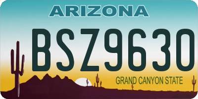 AZ license plate BSZ9630