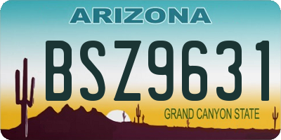 AZ license plate BSZ9631