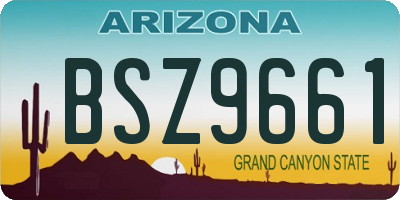 AZ license plate BSZ9661