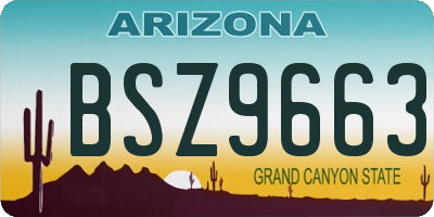 AZ license plate BSZ9663