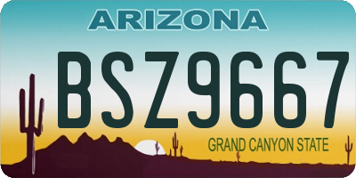 AZ license plate BSZ9667