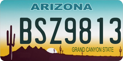 AZ license plate BSZ9813