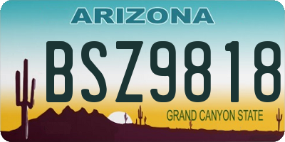 AZ license plate BSZ9818