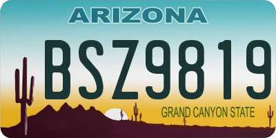 AZ license plate BSZ9819