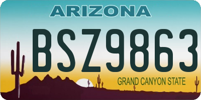 AZ license plate BSZ9863