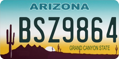 AZ license plate BSZ9864