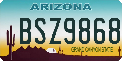 AZ license plate BSZ9868