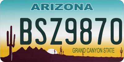 AZ license plate BSZ9870