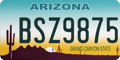 AZ license plate BSZ9875