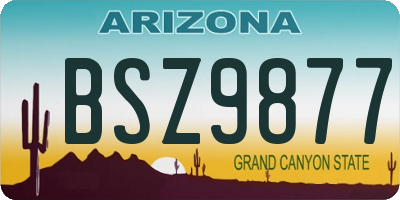 AZ license plate BSZ9877