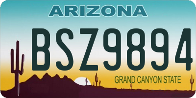 AZ license plate BSZ9894