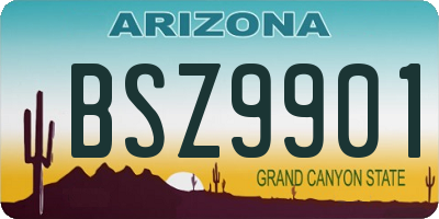 AZ license plate BSZ9901