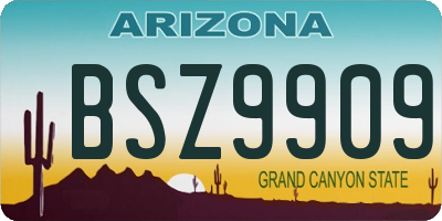 AZ license plate BSZ9909