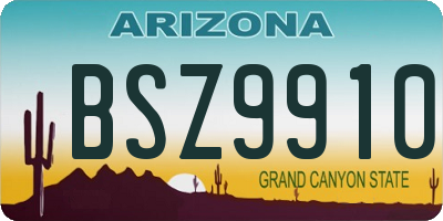 AZ license plate BSZ9910